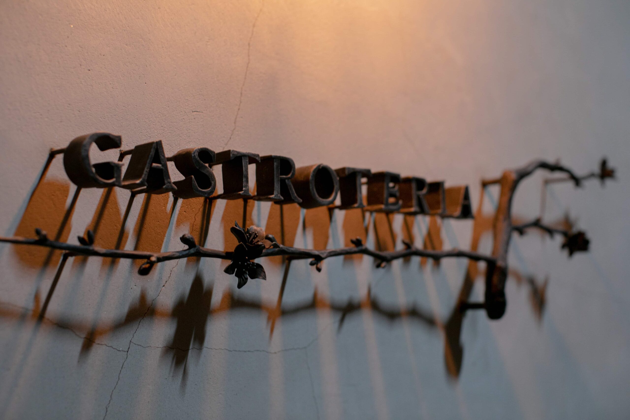 ガストロテリア　エッフェ